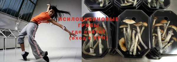 дмт Аркадак