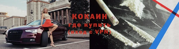 стафф Арсеньев