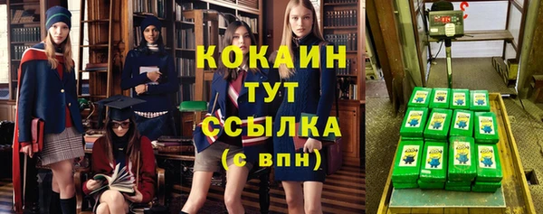 стафф Арсеньев