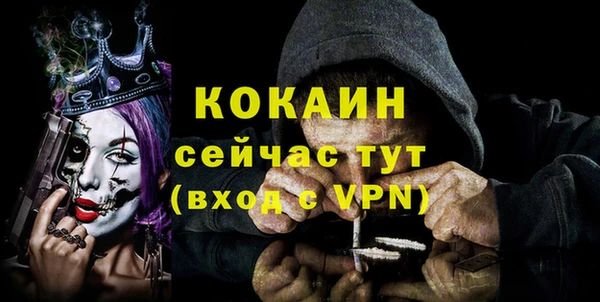 стафф Арсеньев